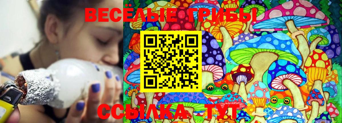 продажа наркотиков  Галлюциногенные грибы прущие грибы  Вход с VPN  Рязань 